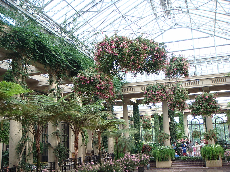 256 Longwood Gardens [2008 August 23].JPG - Longwood Gardens in Pennsylvania